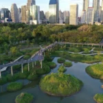 Parque Benjakitti: un oasis urbano en Bangkok